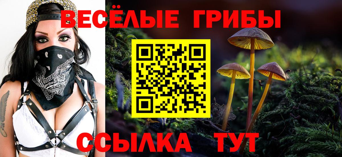 Псилоцибиновые грибы ЛСД Усолье-Сибирское